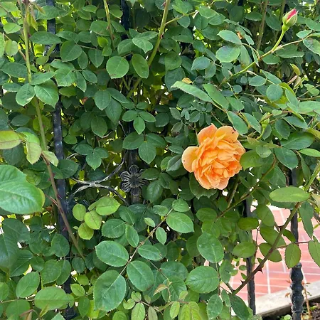 Appartement Passat12 *